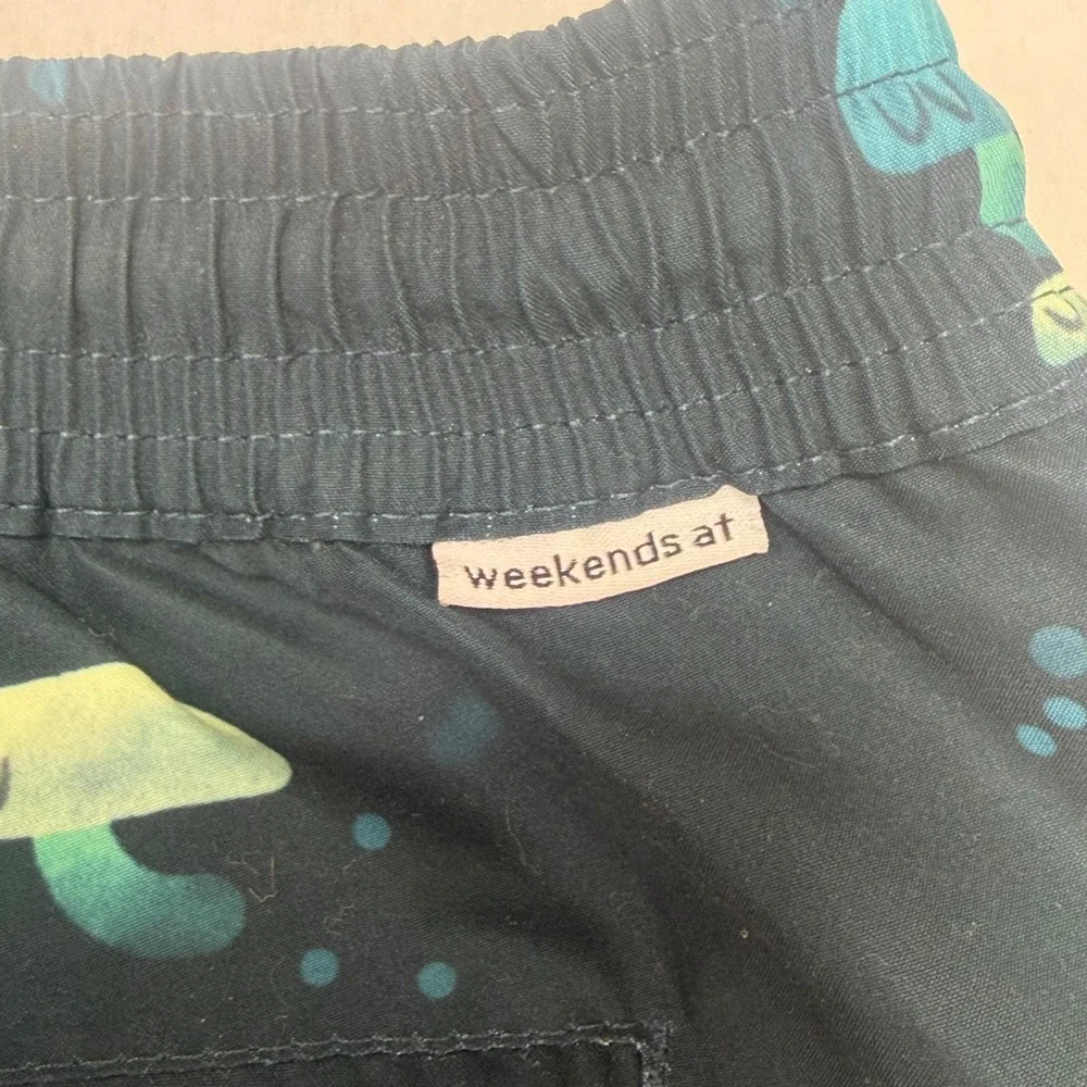 Weekends At Mushroom Print  Swim Trunks‎ Large